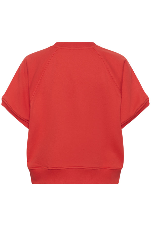 PauletteSZ Sweatshirt - finns i 2 färger
